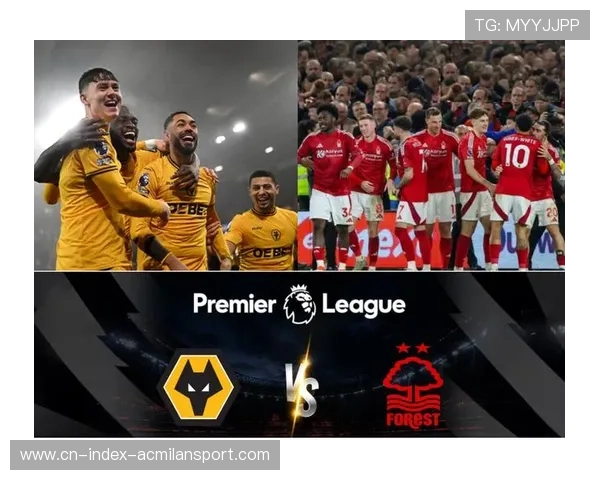 英超狼队解雇佩雷拉后新帅人选曝光多位名帅进入候选名单 英超狼队解雇佩雷拉后新帅人选曝光多位名帅进入候选名单